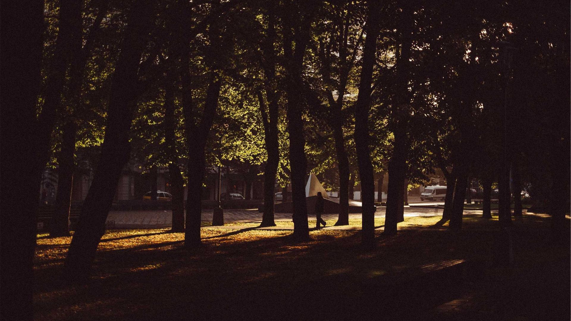 Dermal Rejuvenation Outcome